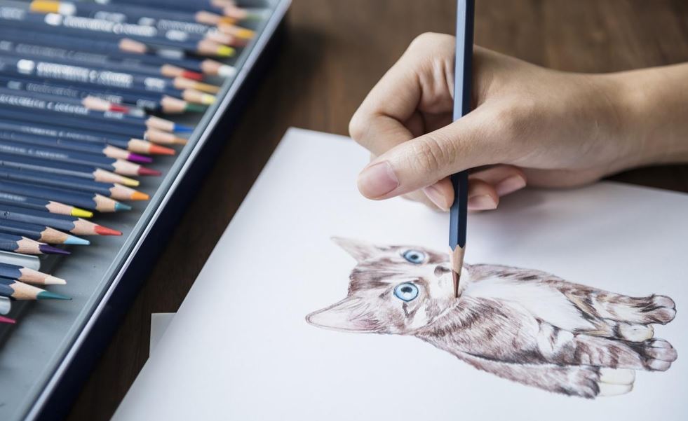 draw
