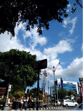 about proliman